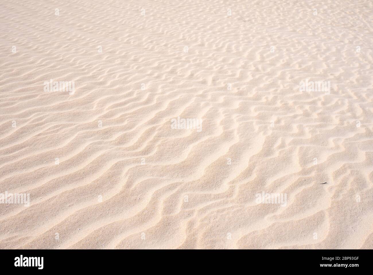 Goldener Sand in Düne, Hintergrund Sand in der Wüste Stockfoto