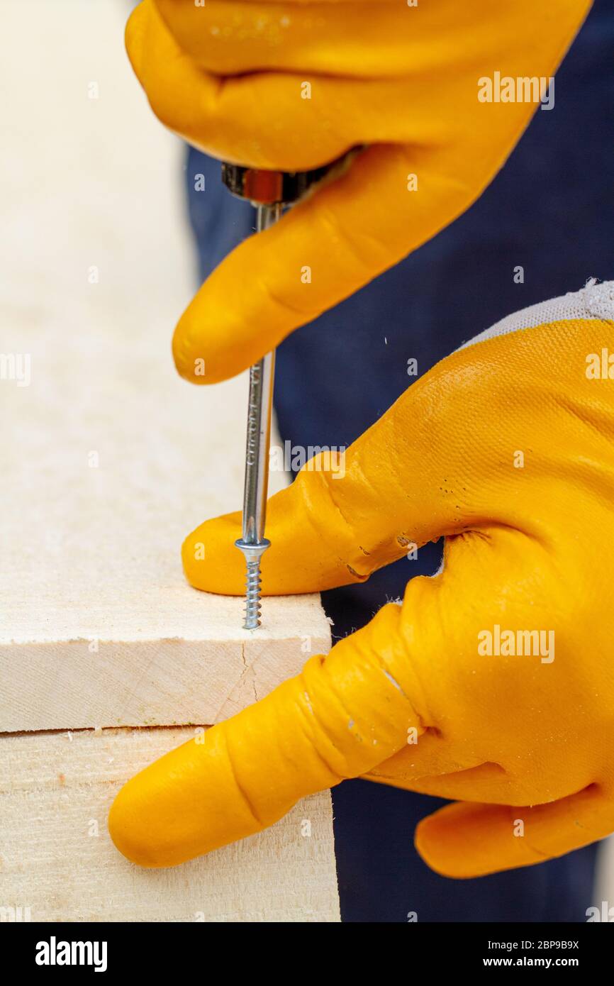 Schnittansicht selbstschneidende Schraube in Spanplatte auf Holzwerkbank platziert Stockfoto