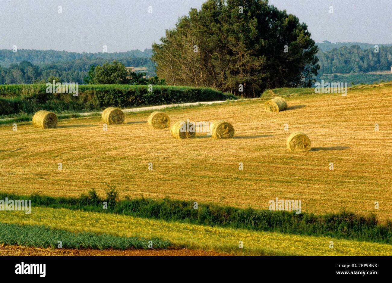 Rollen Heu .Serinya. PLA de l'Estany. Girona. Katalonien .Spanien. Stockfoto