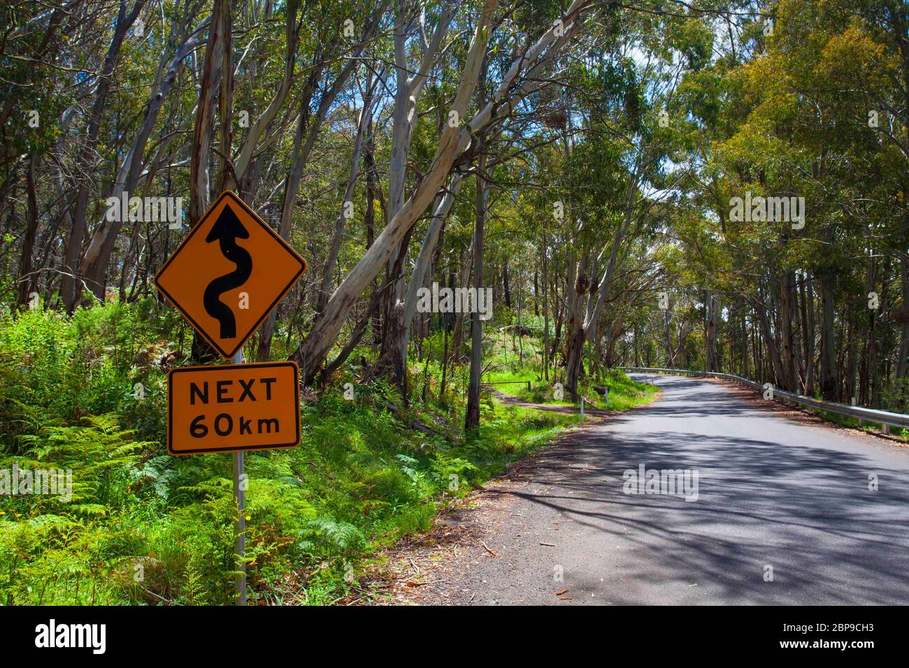 Kurven für die nächsten 60km - Fahren im Kosciuszko National Park, Australien Stockfoto