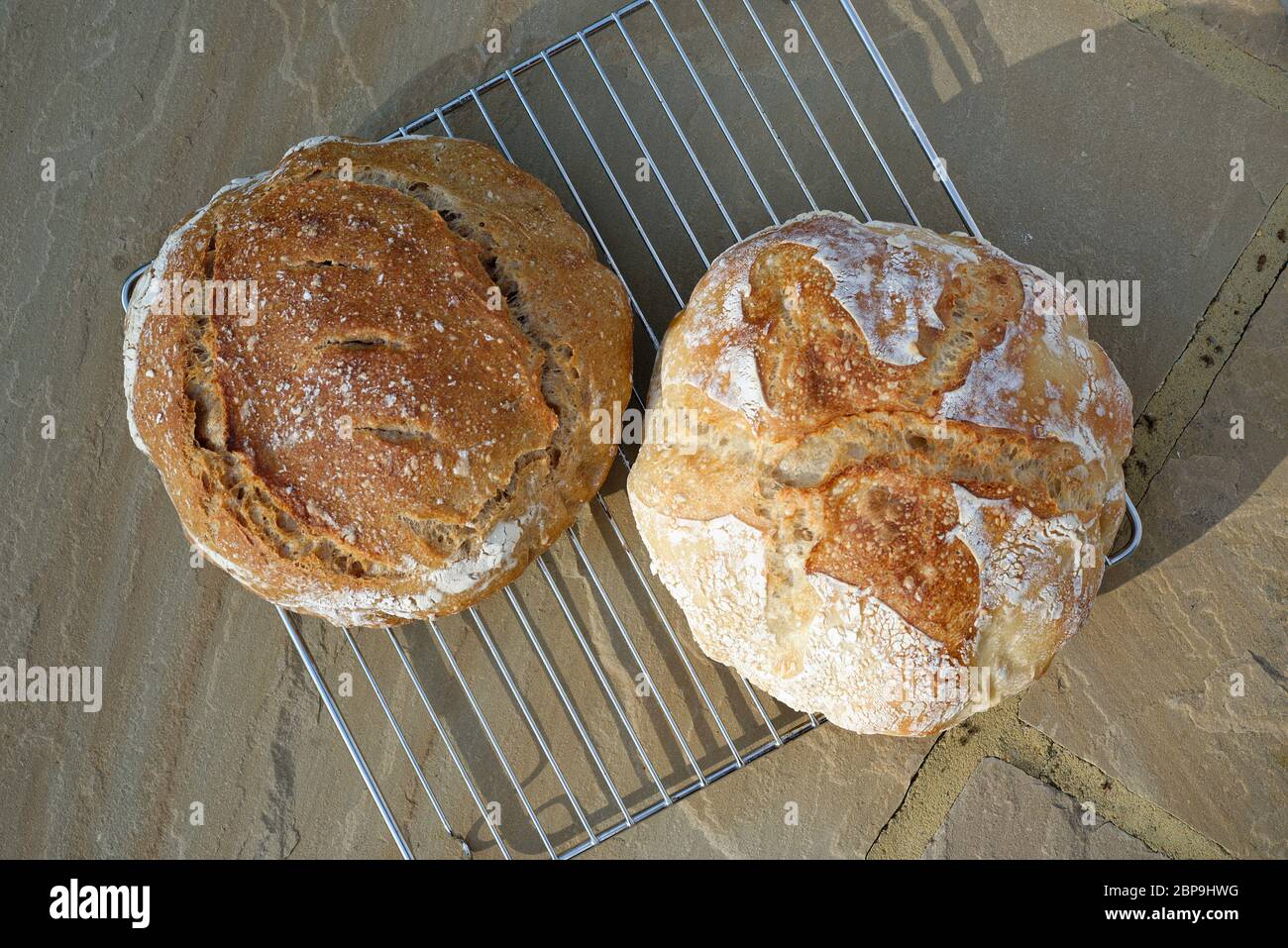 Hausgemachtes Brot. Sauerteig Brote. Vollkorn und weiß. Stockfoto