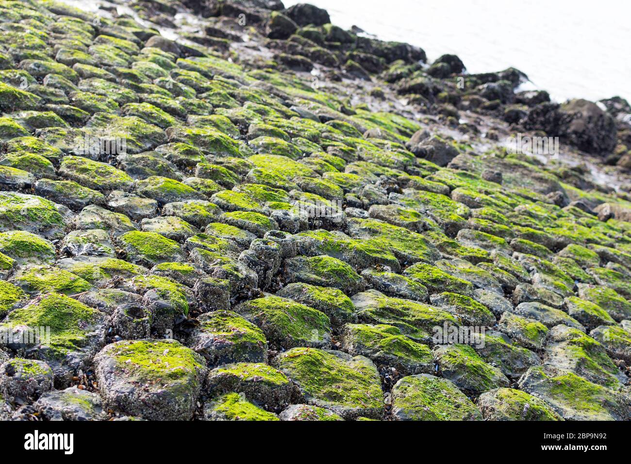 Shore-Sheeting aus groben Steinen. Quadratische, sechseckige Steine sind eng aneinander, um das Ufer vor Erosion zu schützen. Die dunklen Steine sind mit bedeckt Stockfoto