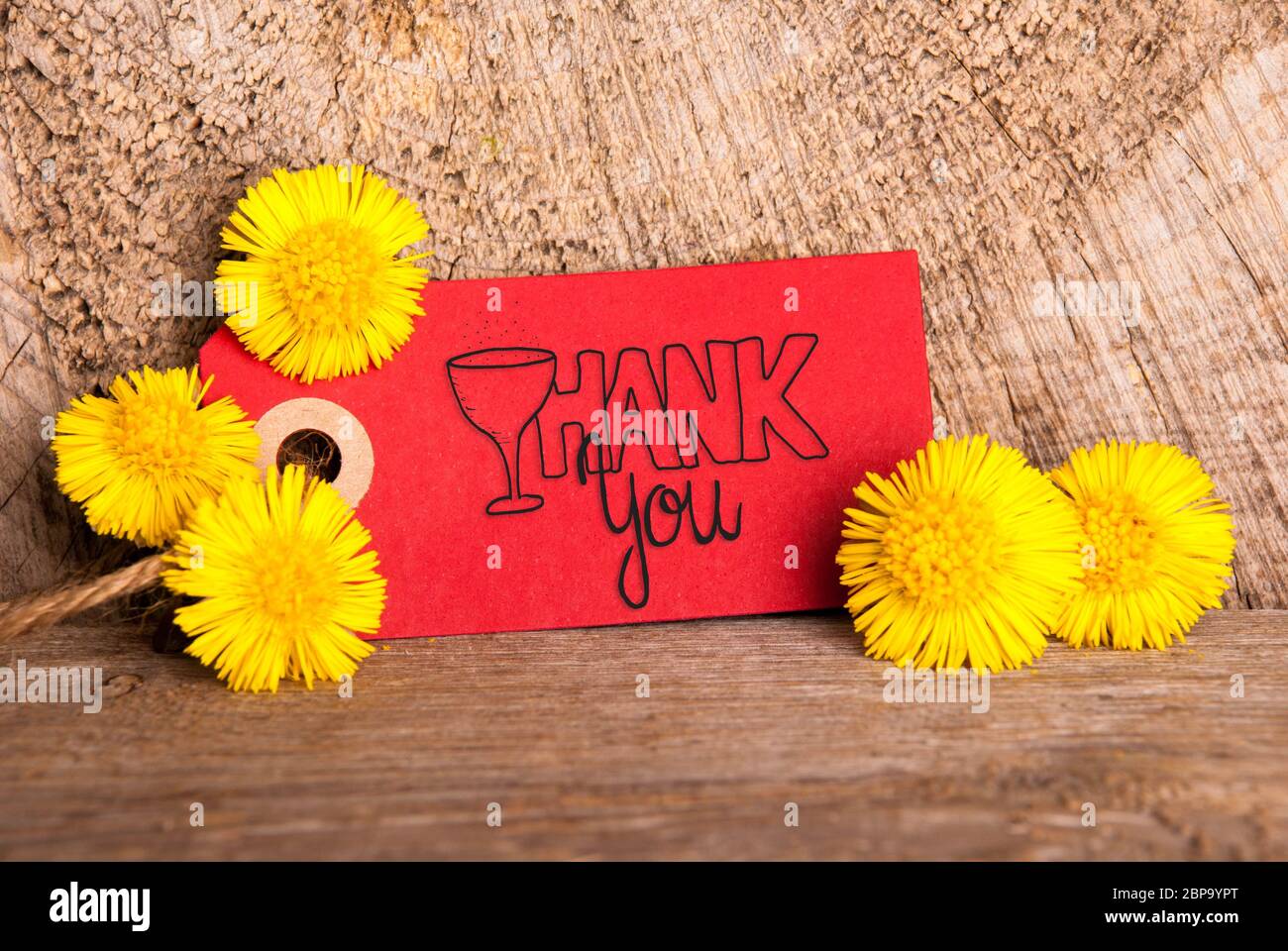 Red Label mit englischen Kalligraphie Danke. Löwenzahn blühen auf Holz- rustikalen Hintergrund Stockfoto