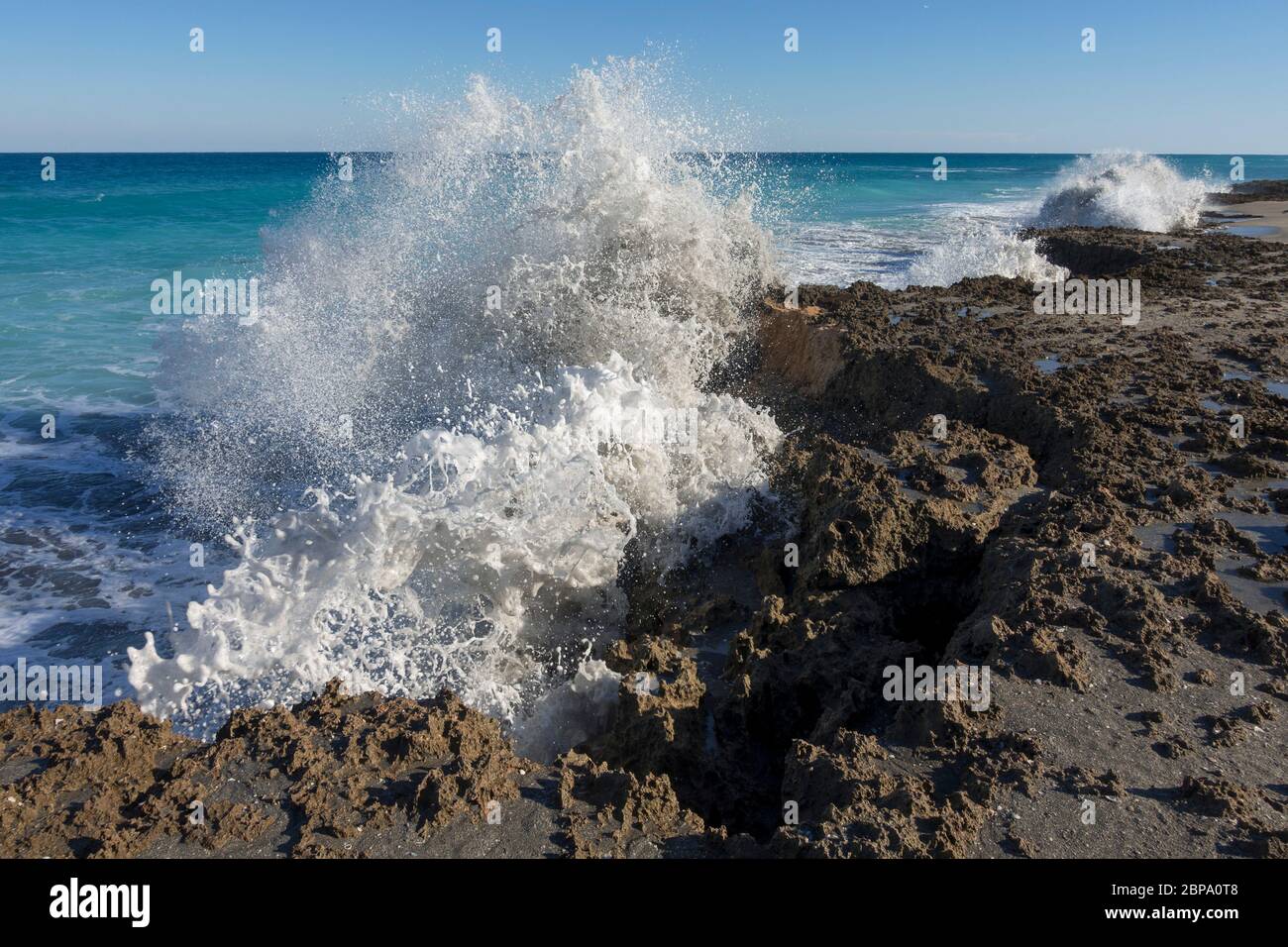 Meereswellen erodieren das alte Korallenriff, das Blowing Rocks Preserve des Nature Conservancy, Jupiter, Florida, USA Stockfoto
