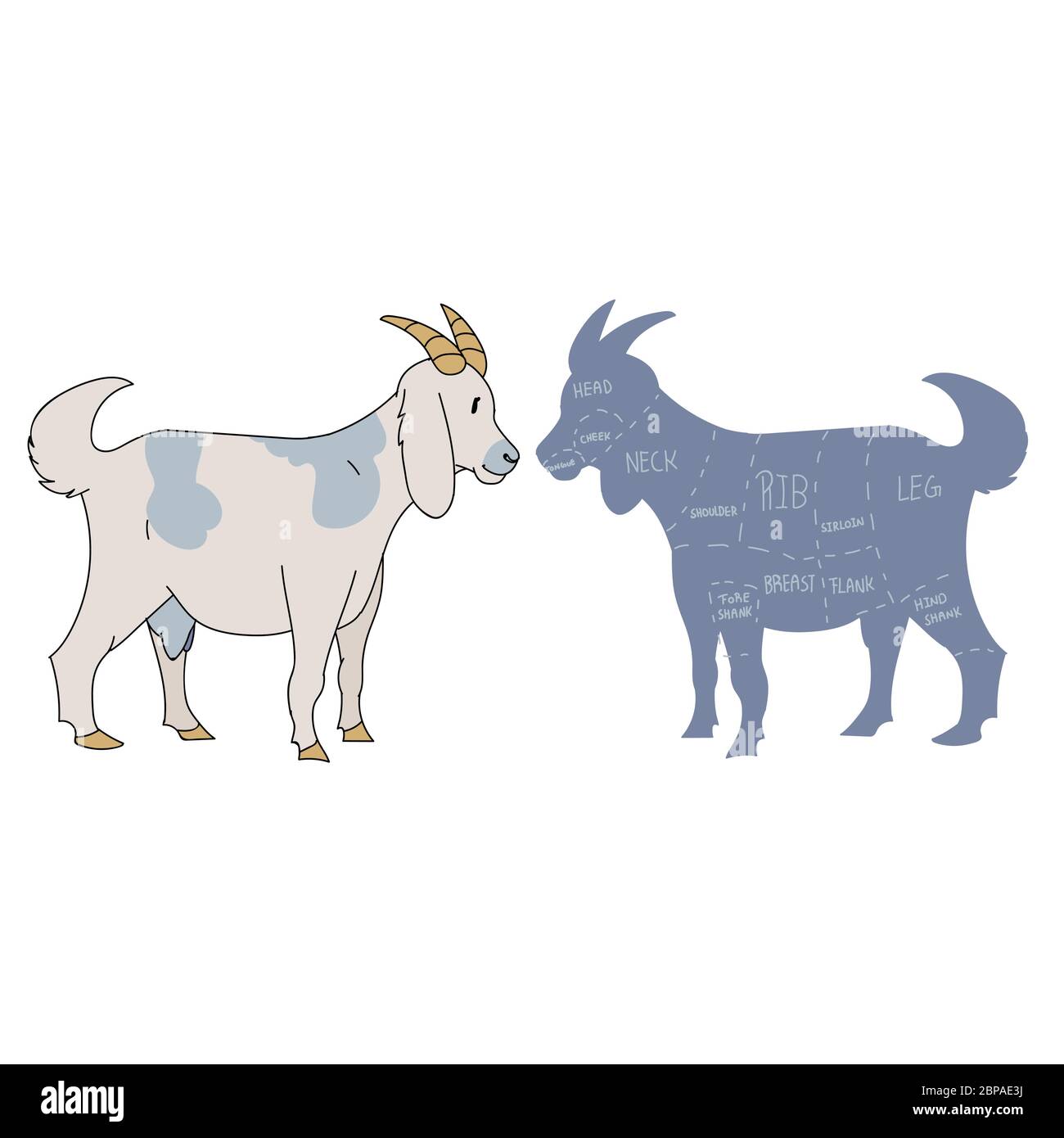 Susse Franzosische Bauernziege Mit Schnittplan Vektorclipart Handgezeichnete Schabige Schicke Landhauskuche Illustration Von Chevon Nutztier Stock Vektorgrafik Alamy