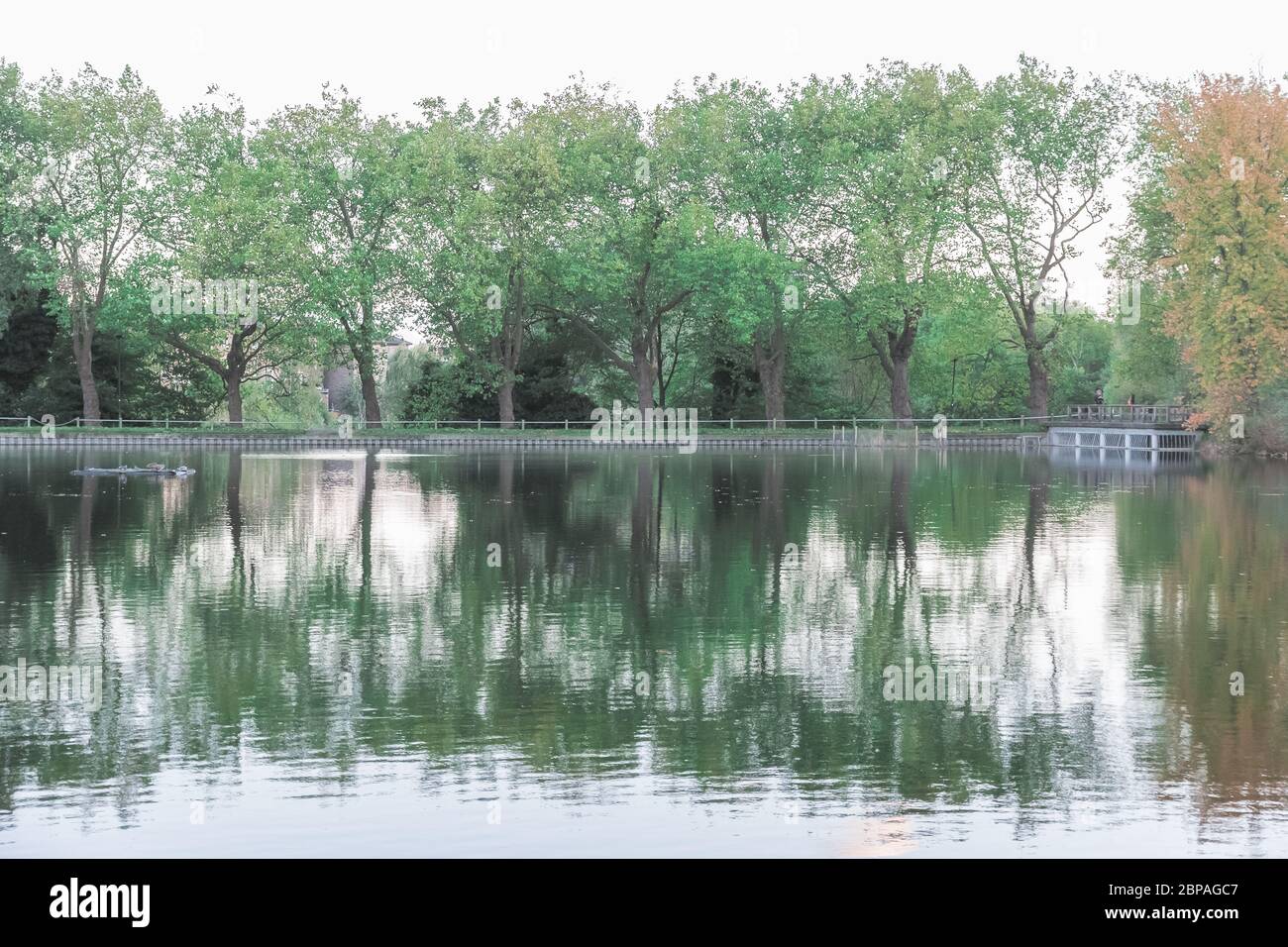 Landschaftssymmetrie, Wanderweg am Teich in Hampstead Heath in London Stockfoto