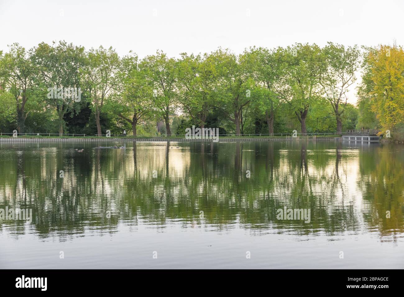 Landschaftssymmetrie, Wanderweg am Teich in Hampstead Heath in London Stockfoto