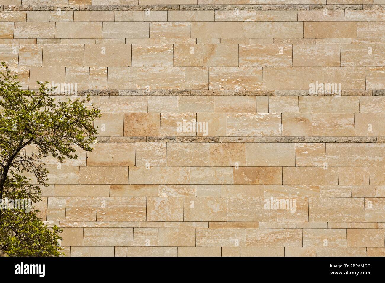 Außenwand der Galerie Neue Pinakothek in München Stockfoto