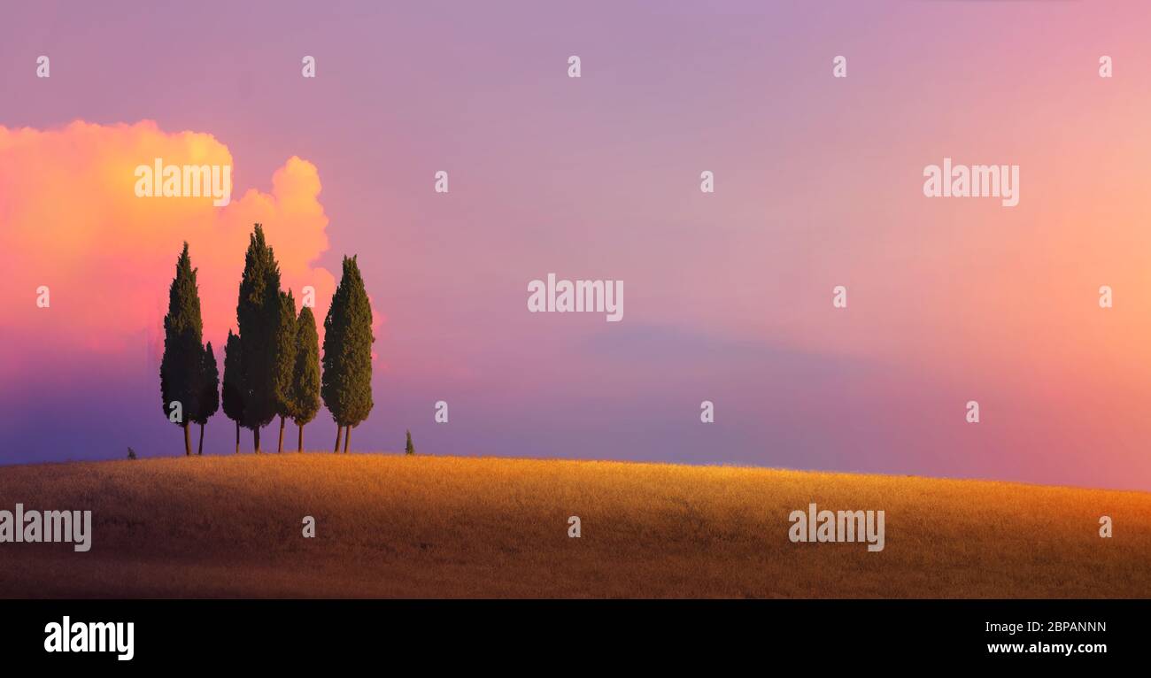 Schöne Italien Natur Landschaft; Bauernhof Feld und Zypressen über Sonnenuntergang Himmel Stockfoto