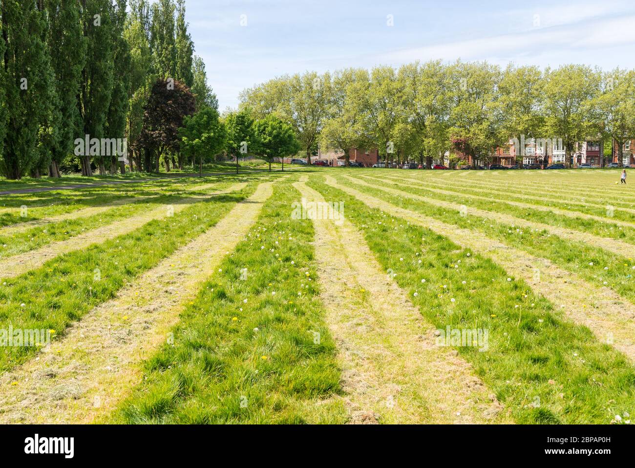 Der Stadtrat von Birmingham hat in öffentlichen Räumen das Gras in zwei Meter langen Streifen geschnitten, um die soziale Distanz während der Pandemie von Cover 19 zu fördern Stockfoto