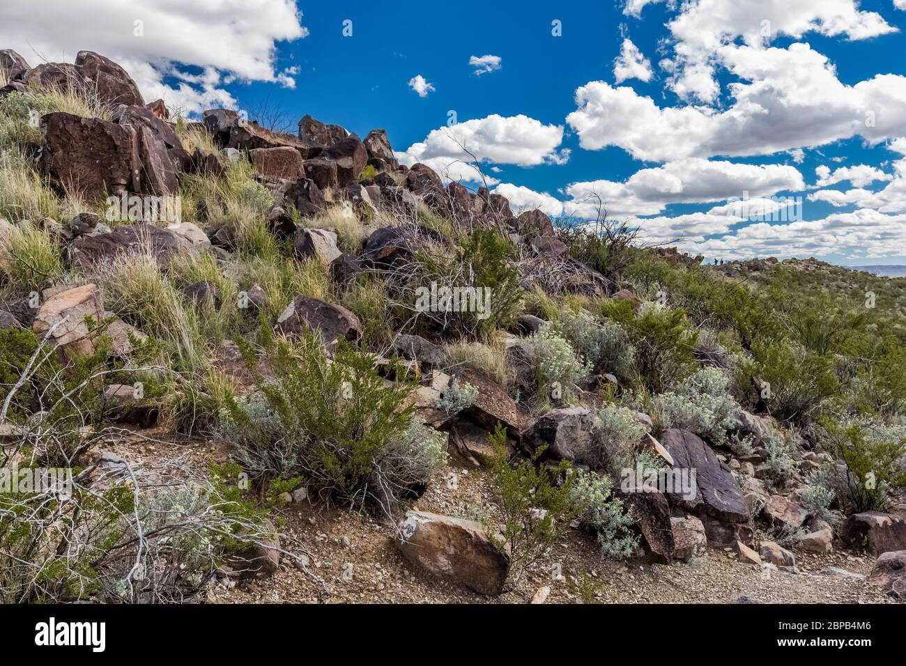 Typische Landschaft mit Felsen und Pinsel in Three Rivers Petroglyph Site in der nördlichen Chihuahuan Wüste, New Mexico, USA Stockfoto