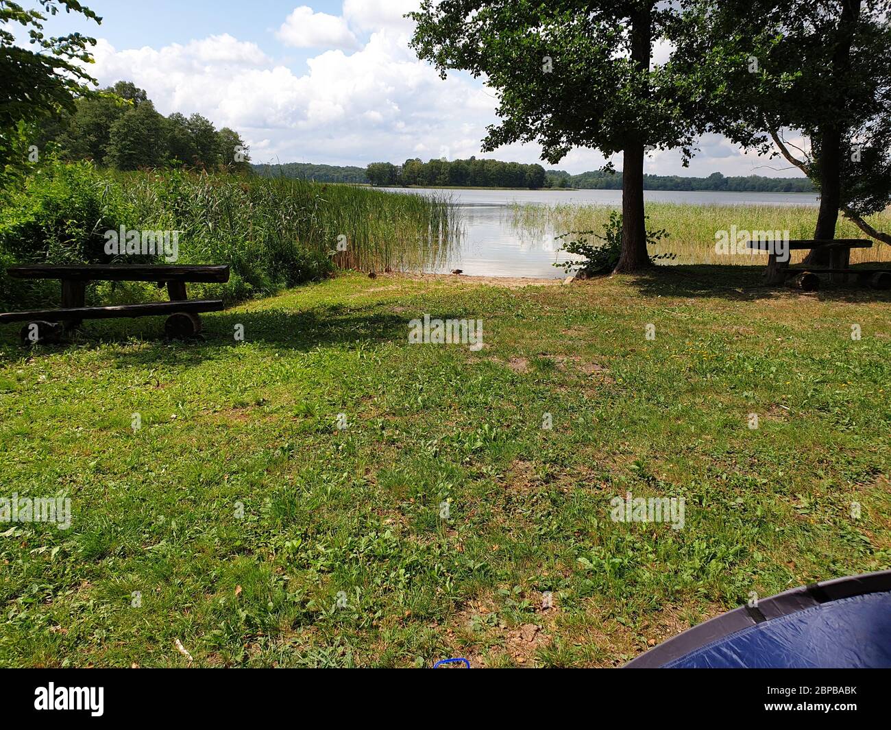 See mit Gras um ihn im Sommer Stockfoto