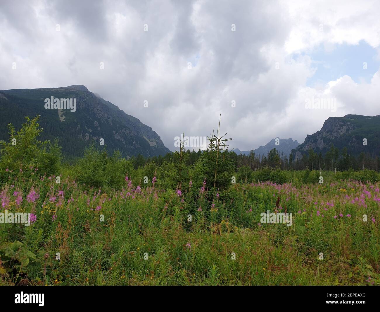Tatra Berglandschaft mit Wolken Stockfoto