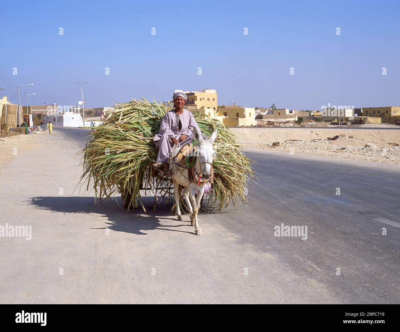 Lokaler Mann reitet Eselskarre auf der Straße nach Luxor, Luxor Governorate, Republik Ägypten Stockfoto