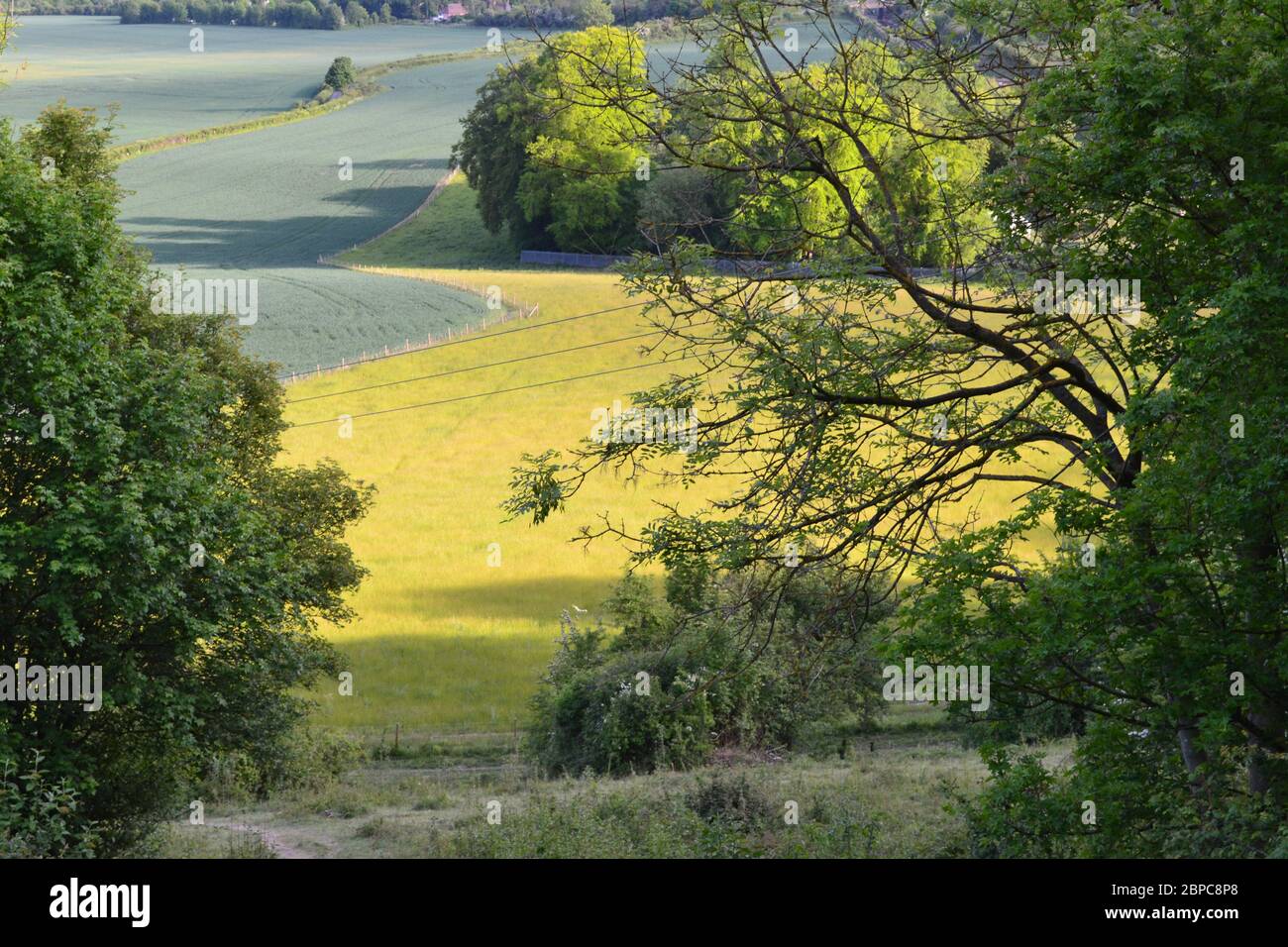 Blick südlich von Polhill Bank, einem SSSI auf Kreidefelge von North Downs in der Nähe von Dunton Green, Shoreham und Otford/Sevenoaks, Kent. Stockfoto