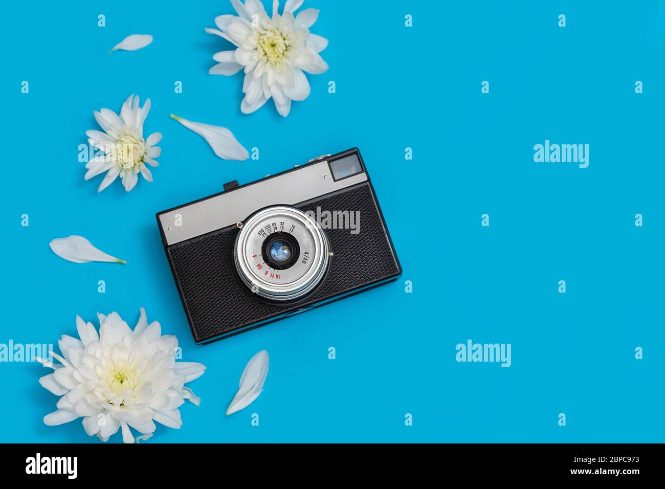 Blogger oder Fotograf Konzept. Alte Retro-Foto-Kamera mit Blumen auf blauem Hintergrund mit Kopierraum Stockfoto