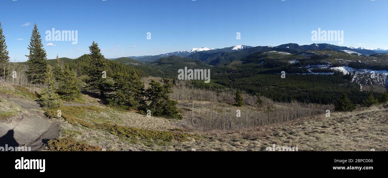 Weite Panorama-Landschaft im Frühling mit bewaldeten Hügeln und Prärien im Kananaskis Country, Alberta Ausläufern der kanadischen Rocky Mountains Stockfoto