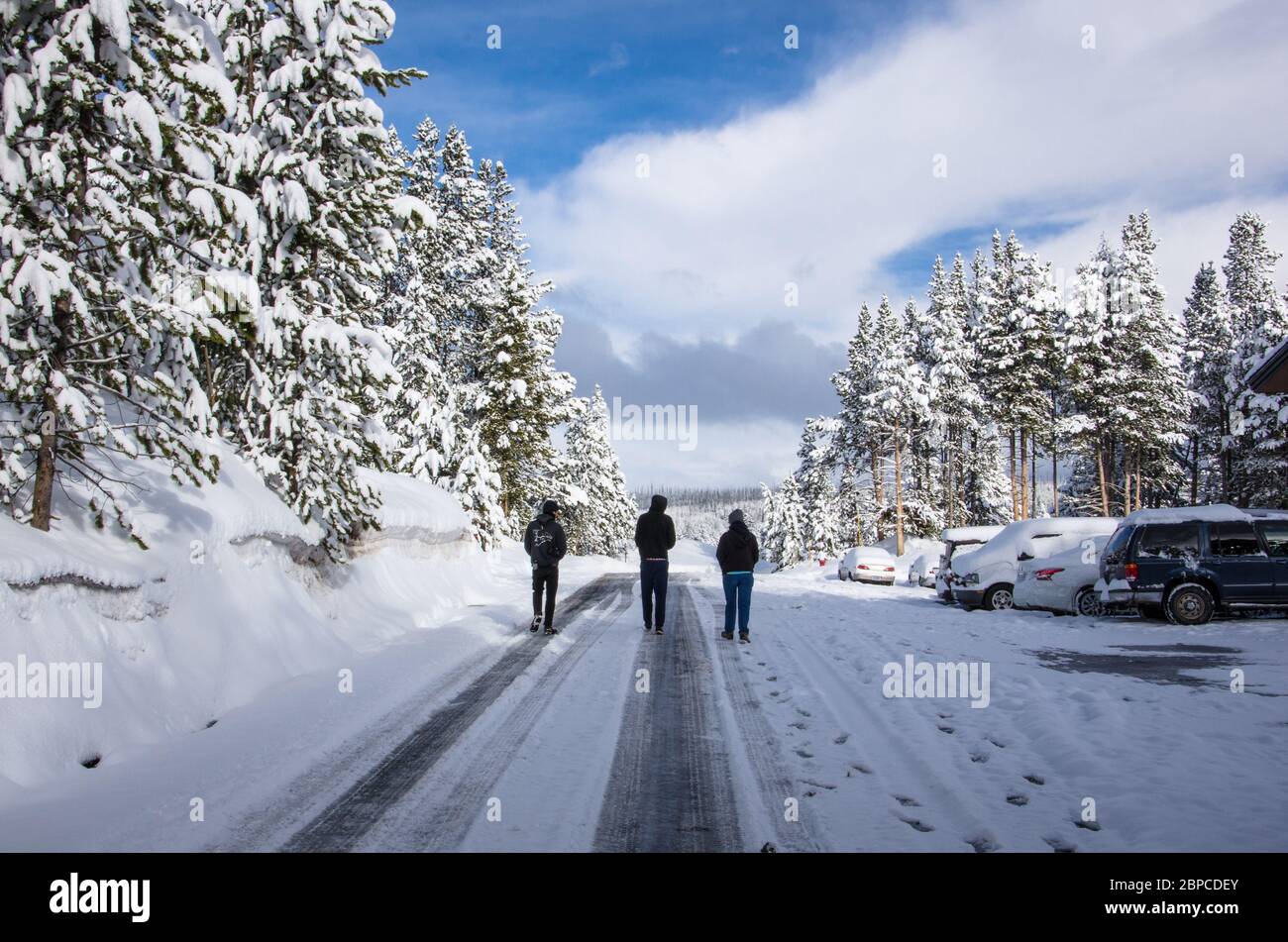 Drei Leute gehen eine schneebedeckte Straße im Yellowstone Nationalpark, USA hinunter Stockfoto