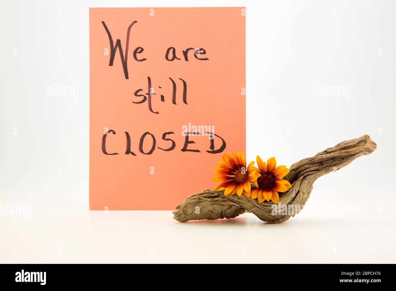 Vorsichtiges, handgeschriebenes Geschäftsschild liest WIR SIND NOCH geschlossen mit Blumen und getrocknetem Holz Akzent vorne auf weißem Hintergrund Stockfoto