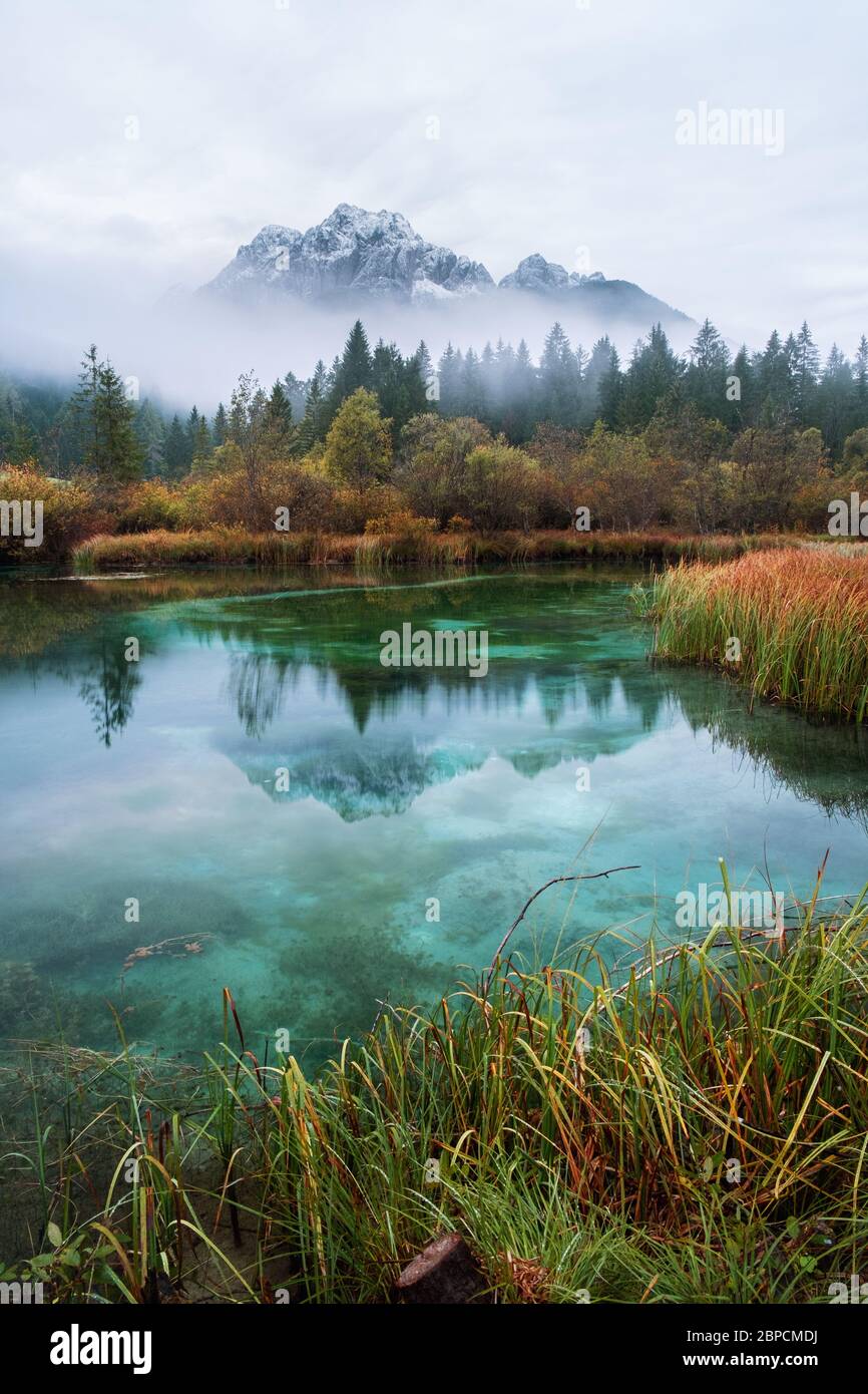 Zelenci See im Herbst im Triglav Nationalpark. Kranjska Gora, Slowenien Stockfoto