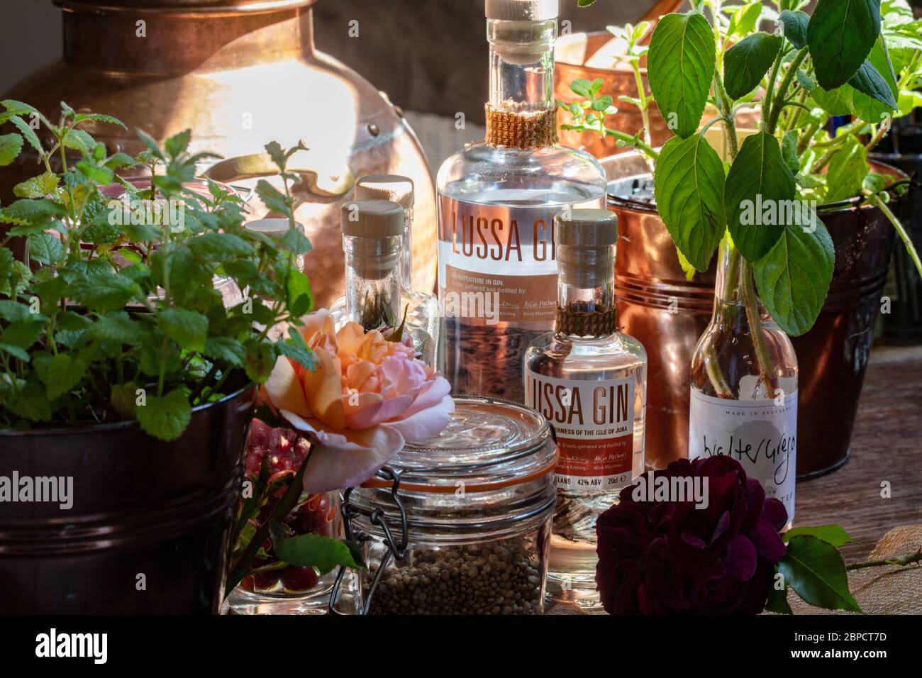Flaschen von Craft Gin, destilliert auf der Isle of Jura Stockfoto