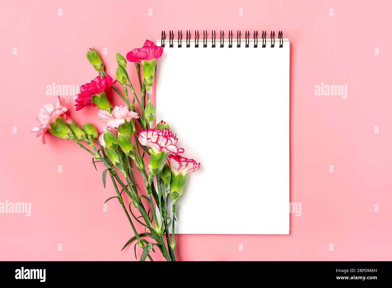 Buntes Bouquet von verschiedenen rosa Nelke Blumen, weißes Notizbuch auf rosa Hintergrund Stockfoto