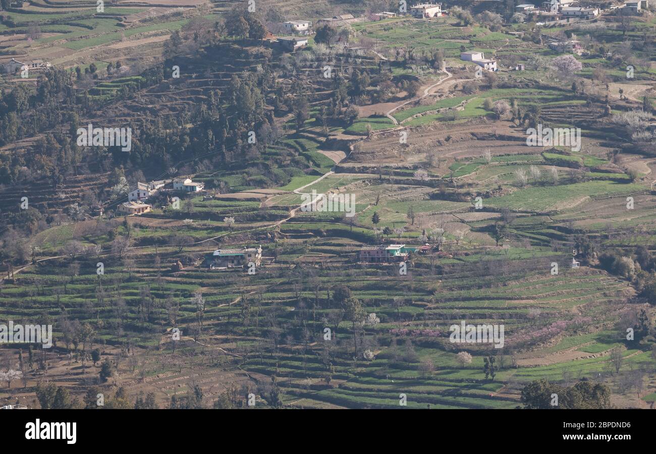 Landschaft der Himalaya-Berge und grüne Natur Stockfoto