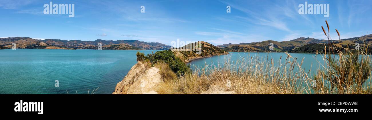 Onawe Peninsula, Banks Peninsula, Canterbury, South Island, Neuseeland, Ozeanien. Stockfoto