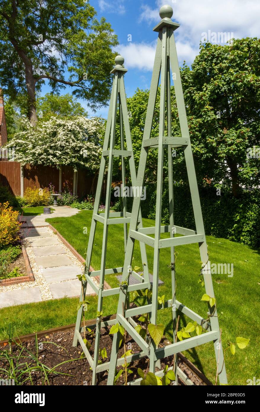Obelisken aus Holzgarten, die während der Covid-19-Sperre, Mai 2020, England, als Bohnenstangen für den Anbau von Runner-Bohnen in Richtung Selbstversorgung verwendet wurden Stockfoto