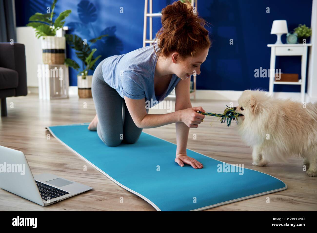 Frau spielt mit Hund beim Training zu Hause Stockfoto
