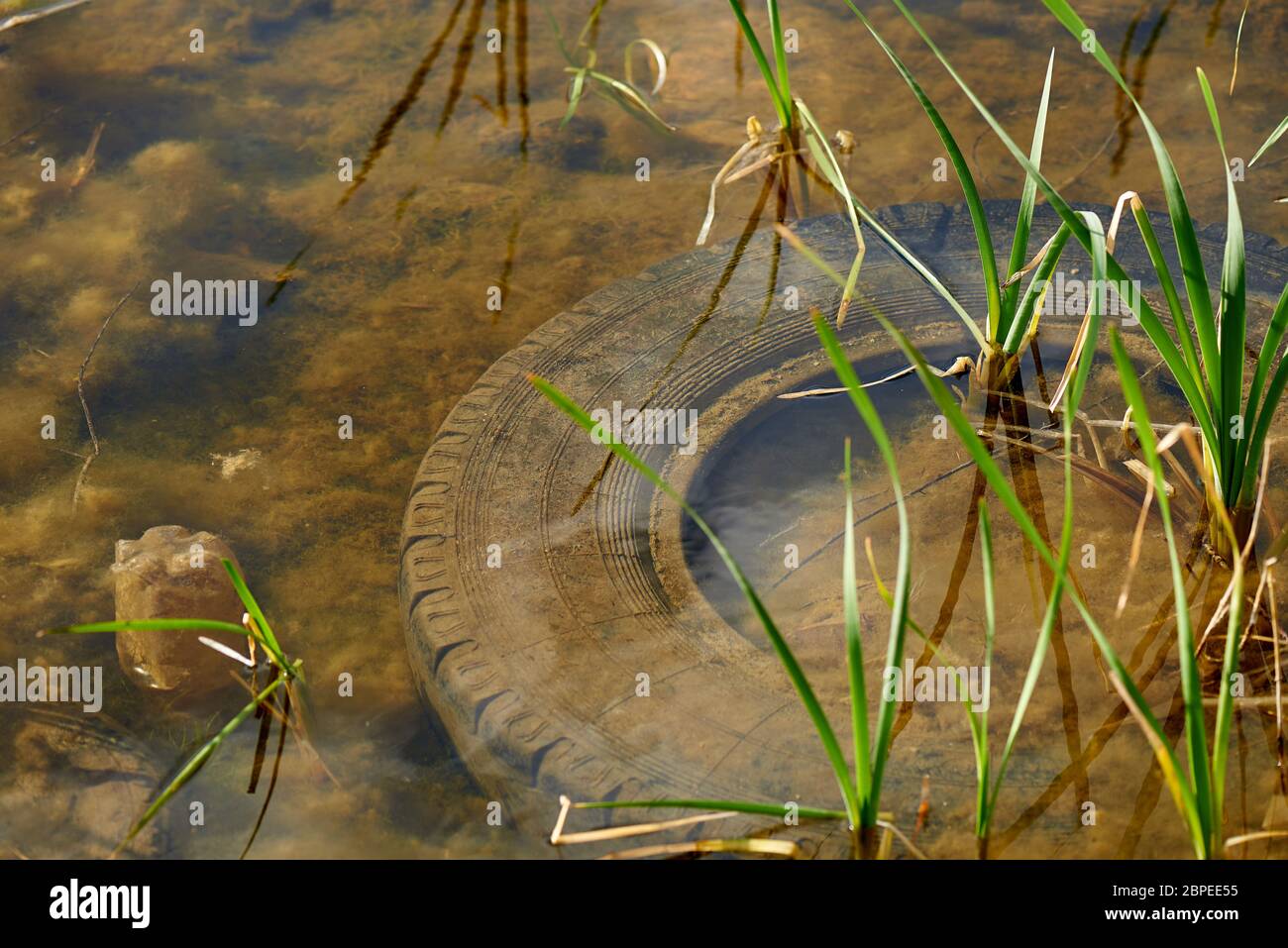 Alte Reifen im Wasser. Umweltverschmutzung. Umweltprobleme. Stockfoto
