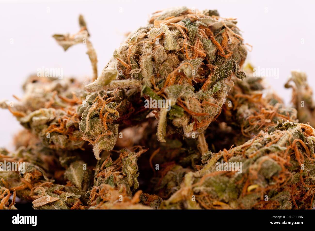 Cannabis marihuana Sky in kleinem Beutel / Nahaufnahme Stockfoto