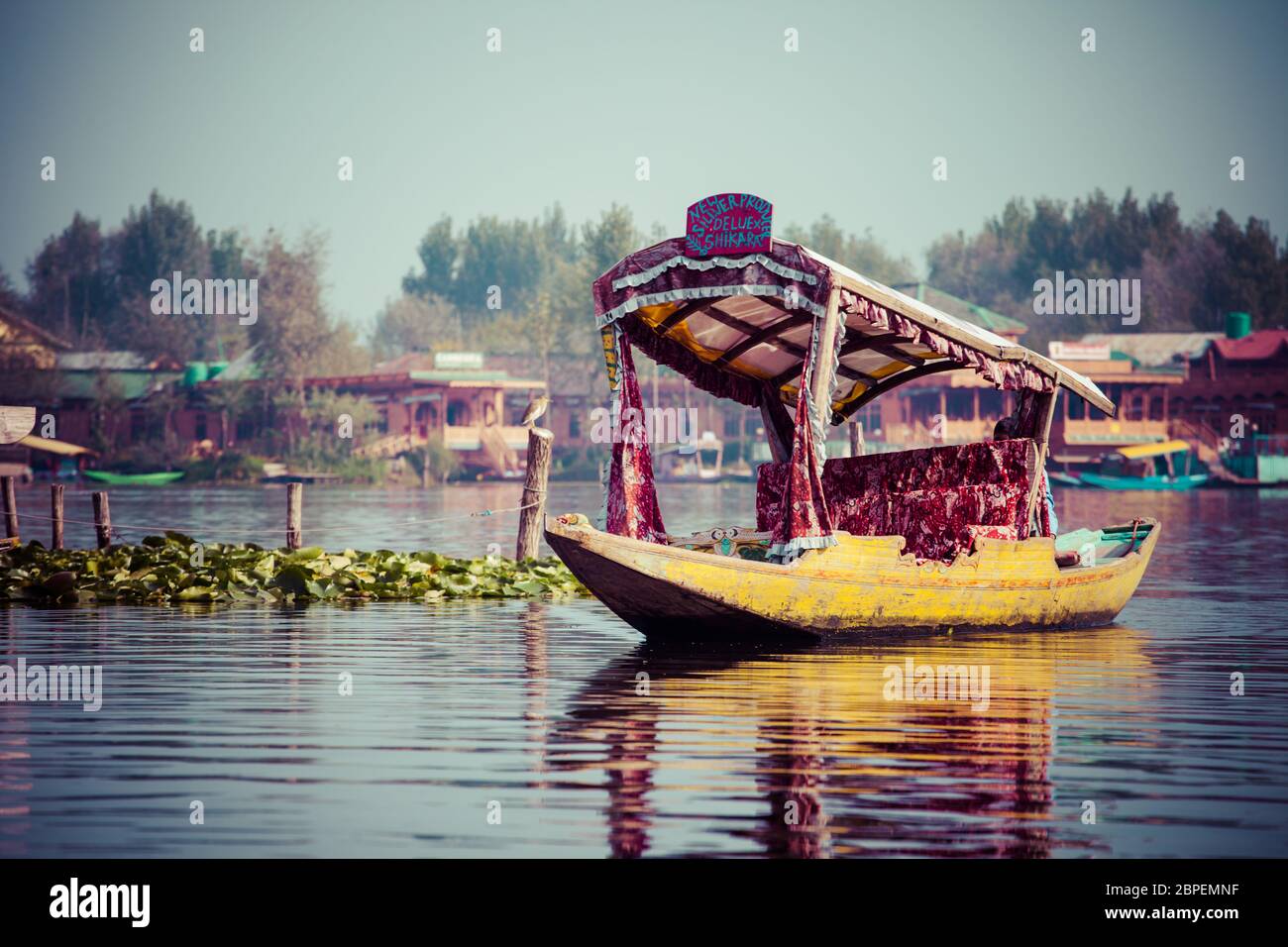 Shikara Boot in Dal-See, Kaschmir Indien Stockfoto