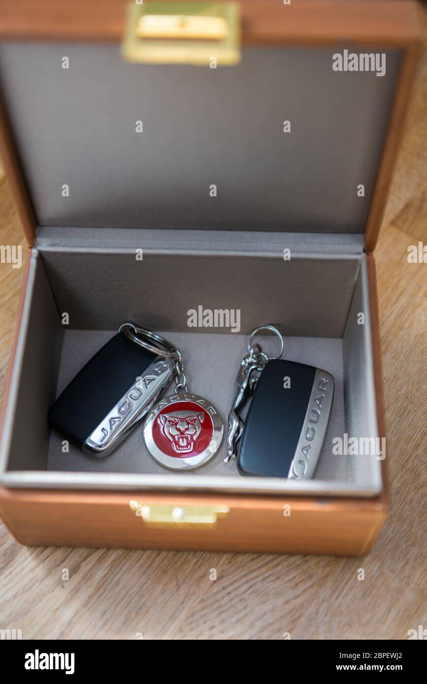 Jaguar Schlüsselanhänger in einem offenen Faraday Aufbewahrungskasten  Stockfotografie - Alamy