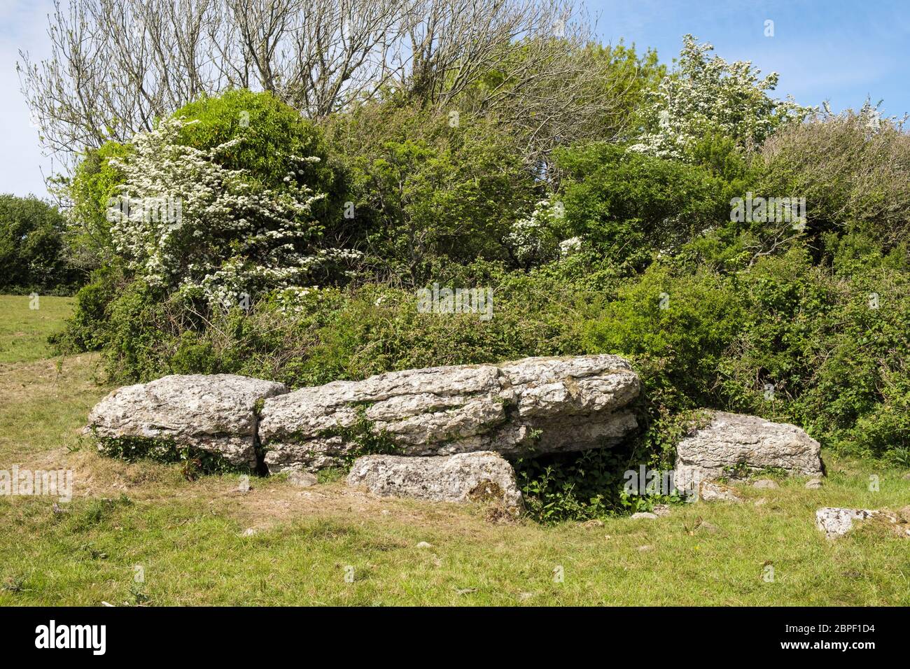 Coed-y-Glyn Grabkammer Grab mit Capston in einem Feld. Tyn-y-Gongl, Benllech, Isle of Anglesey, Nord Wales, Großbritannien Stockfoto