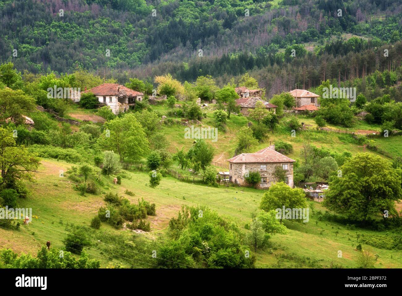 Der Frühling kommt... Erstaunliche Frühling Blick mit einem kleinen Dorf in Rhodopi Gebirge, Bulgarien. Herrliche Landschaft, grüne Felder, kleine Häuser. Stockfoto