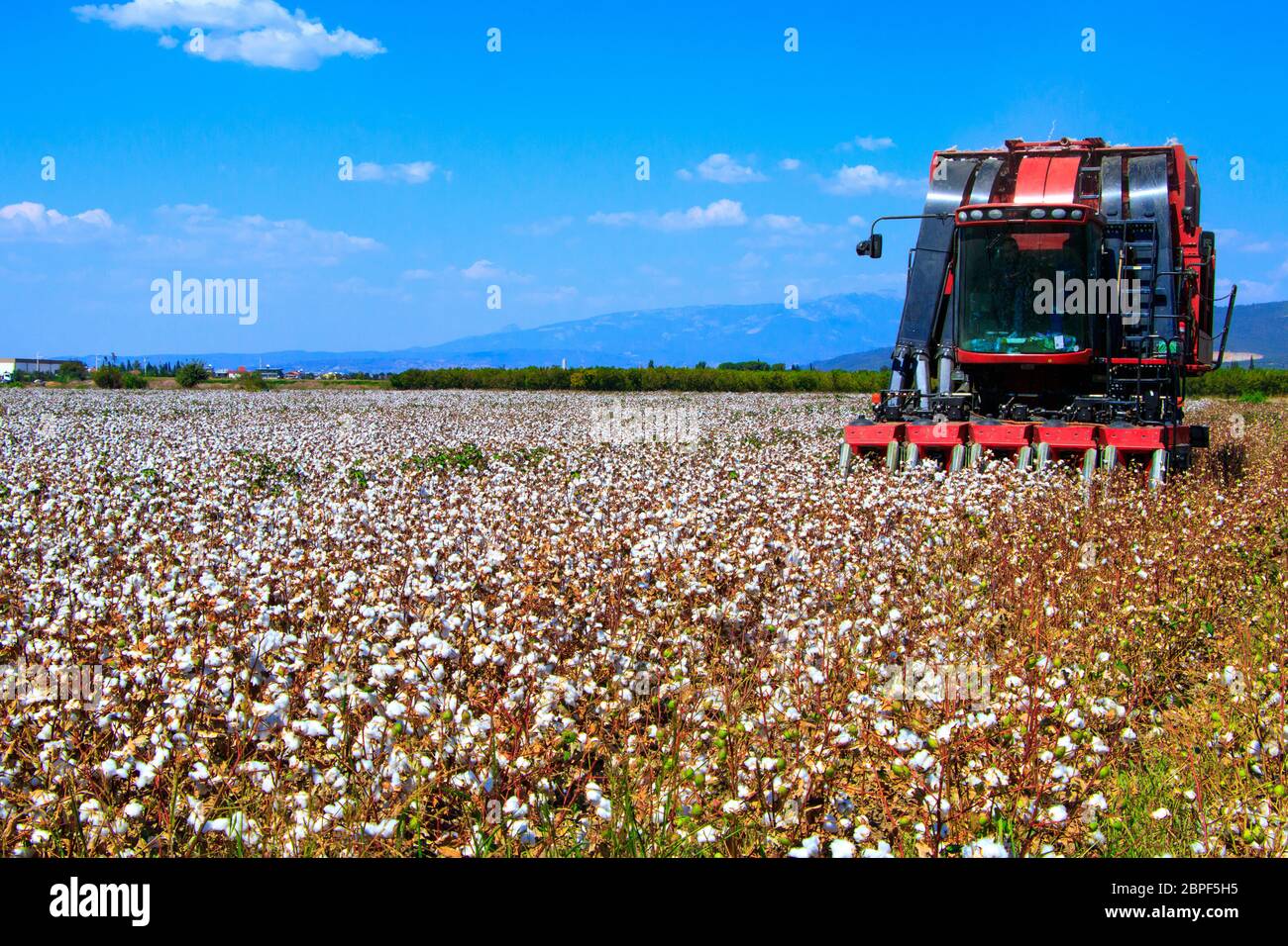 Baumwoll Erntemaschine Fotos Und Bildmaterial In Hoher Aufl sung Alamy baumwoll-erntemaschine-fotos-und-bildmaterial-in-hoher-aufl-sung-alamy