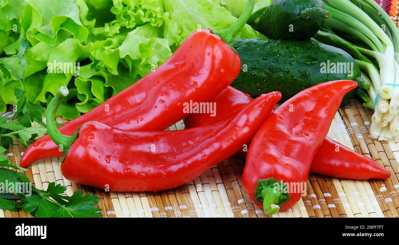 Zusammensetzung aus vier roten Paprika mit Tropfen Wasser und anderen Gemüse wie grüne Zwiebel, Salat, Gurken und Petersilie. Stockfoto