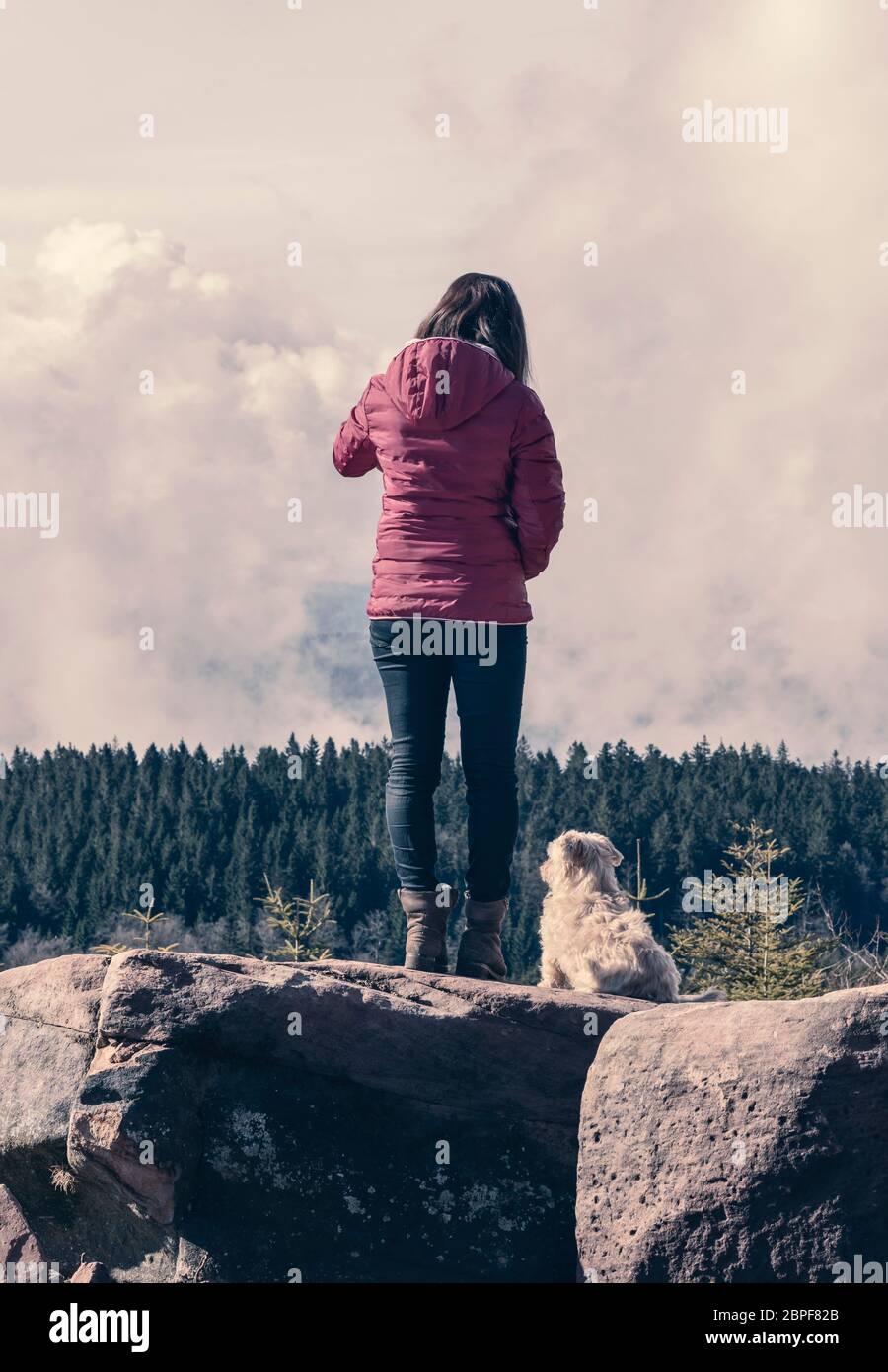 Junge Frau mit ihrem bichon Havaneser hunde Nebeneinander auf Felsen genießen den Blick über den Schwarzwald an einem sonnigen Tag der Feder Stockfoto