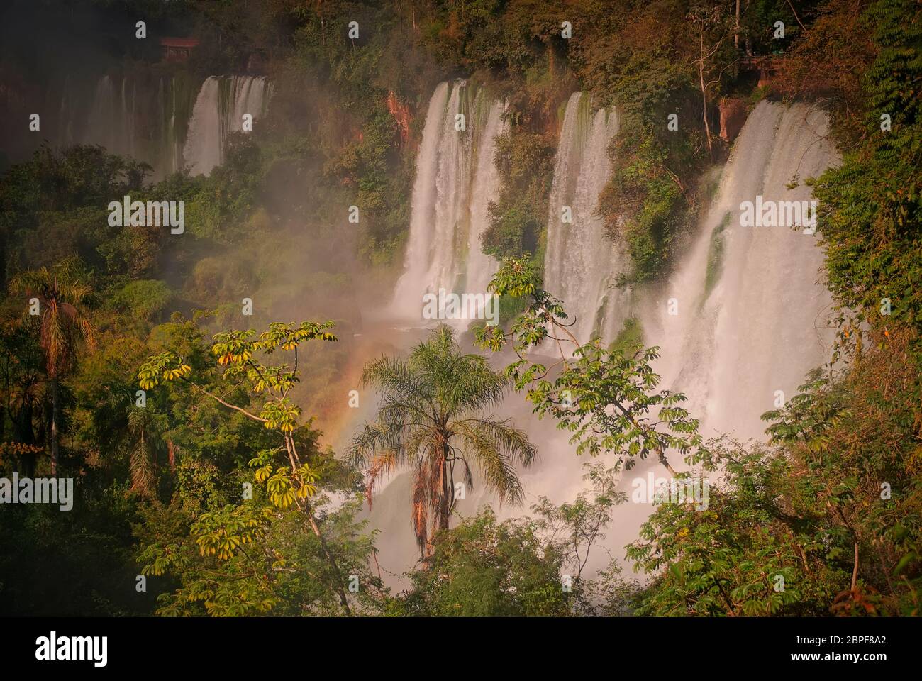 Ein Teil der Iguazu-Fälle vom Argentinischen Nationalpark, Misiones, Argentinien Stockfoto