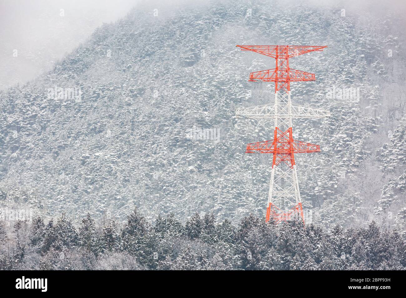 Elektrische pole Power Post mit Winterlandschaft von Pinienwald in Nagano Chubu Japan Stockfoto