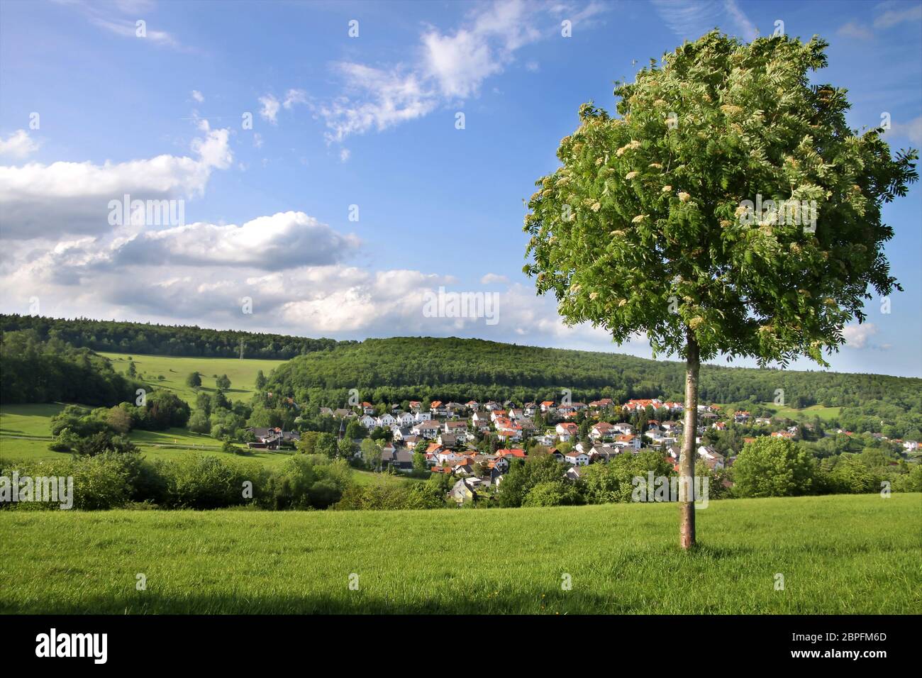 Landschaft in der Taunus-Region im Frühjahr, Deutschland Stockfoto
