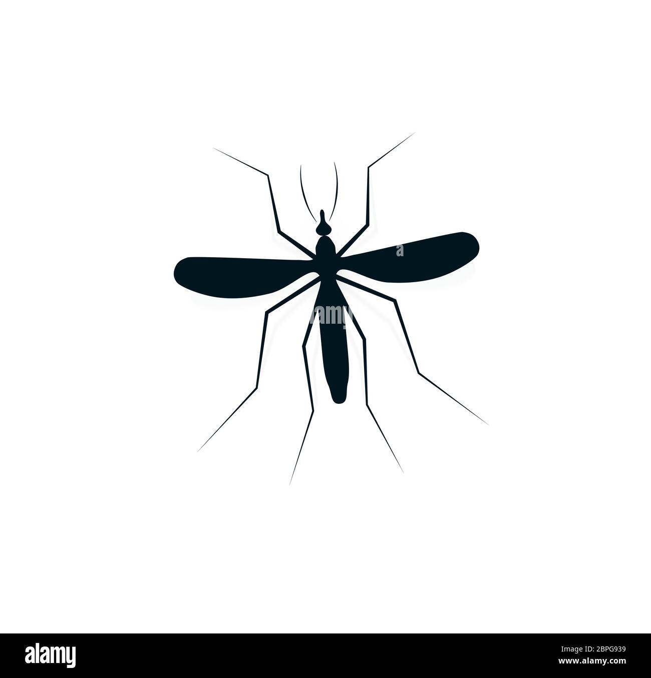 Logo der Anopheles-Mücke. Gefährliche blutsaugende Insektenlogotyp. Symbol für Träger der fliegenden Dengue-Erkrankung. Schwarz-Weiß infektiöser Mist-Vektor Stock Vektor