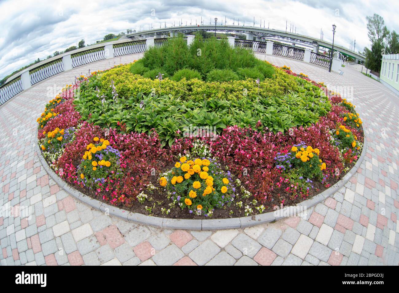 Rundes Blumenbeet in der Stadt. Blumen auf dem Asphalt Hintergrund