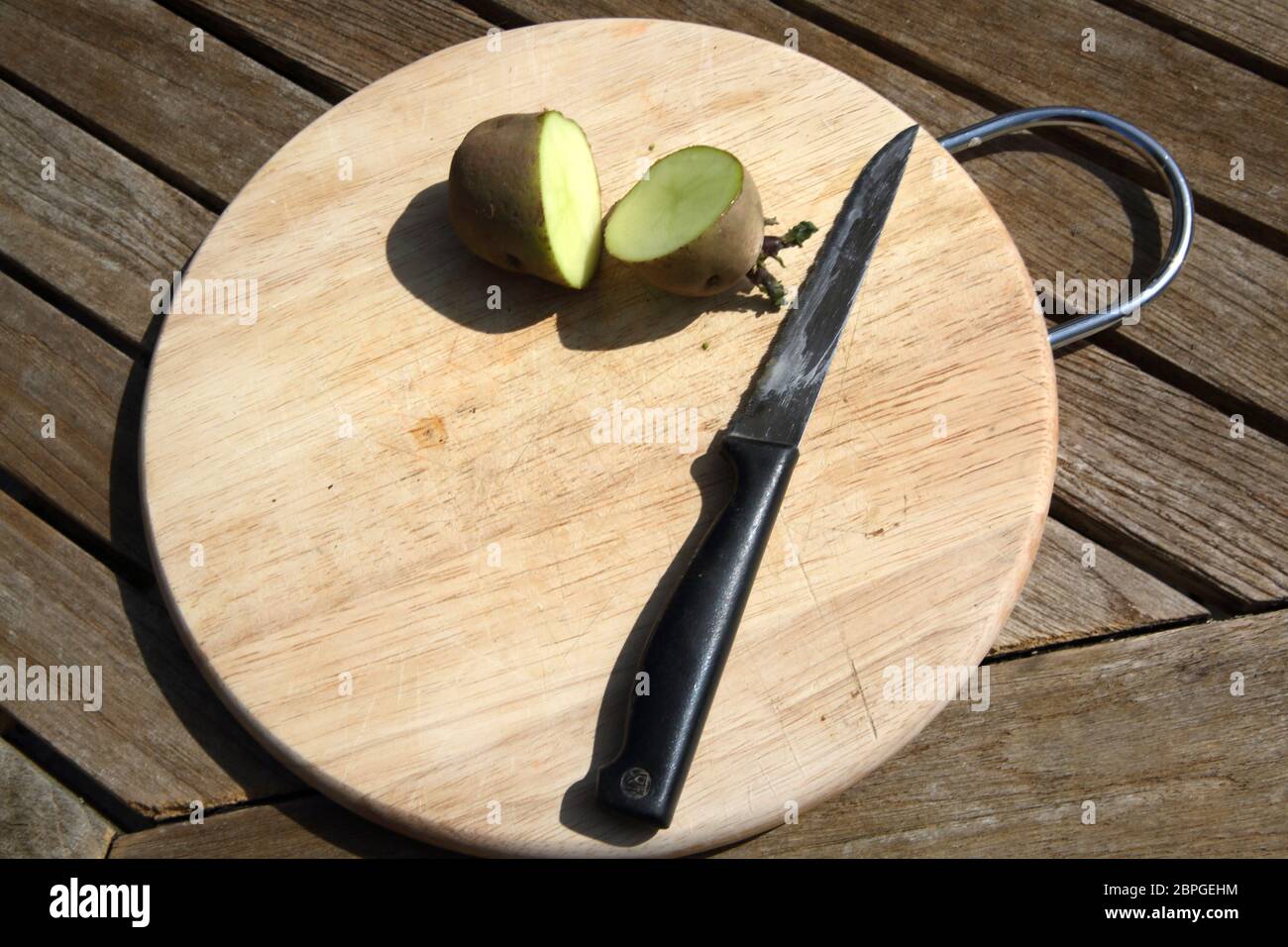 Kartoffeln werden vor dem Pflanzen geschnitten Stockfoto