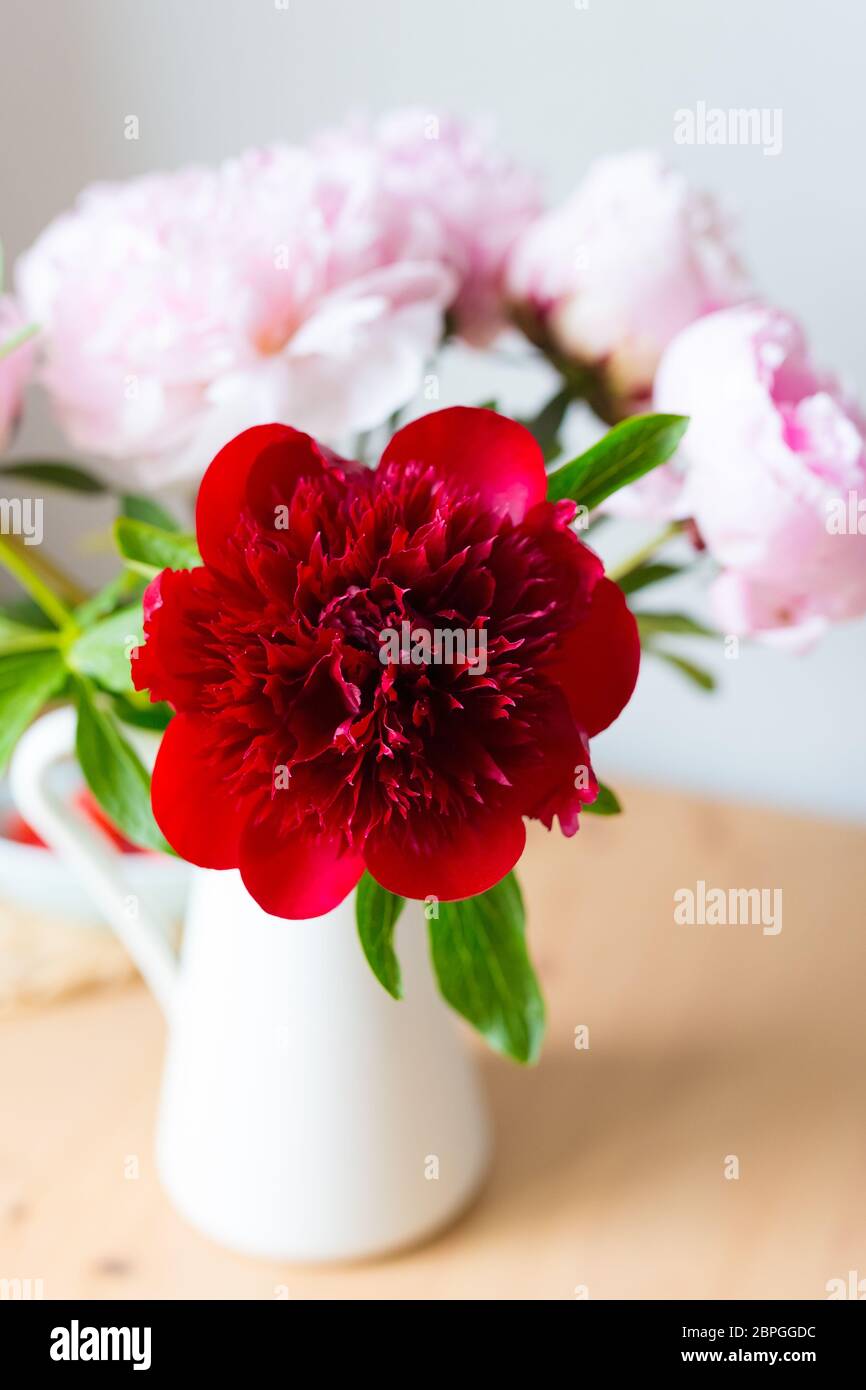 Vase mit Bouquet von schönen Pfingstrosen auf dem Tisch im Zimmer, Nahaufnahme. Blüte. Pfingstrose. Stockfoto