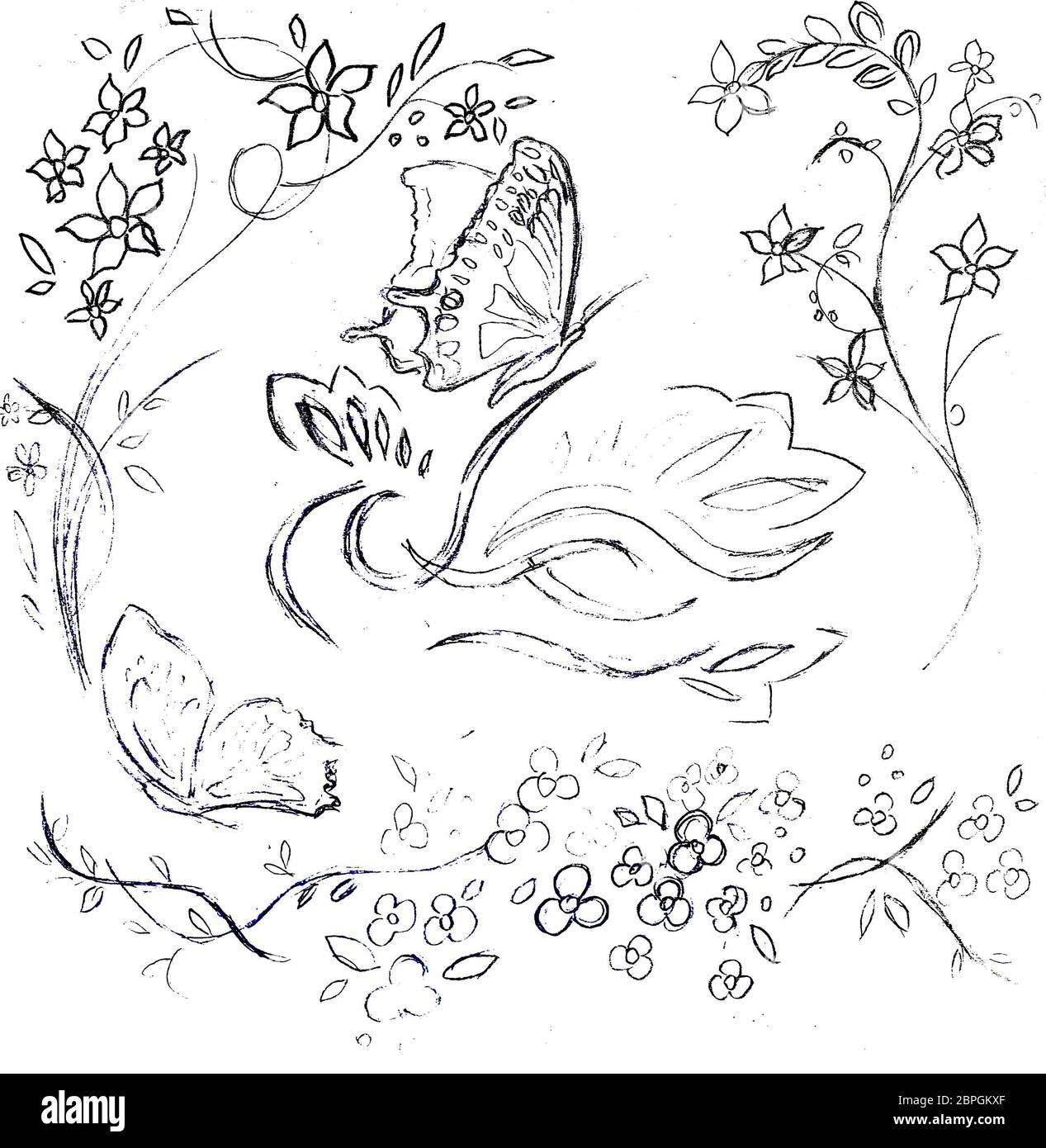 Illustration einer Schmetterlingsfliege in Blumen. Schwarz-weiße Zeichnung der Natur. Stockfoto