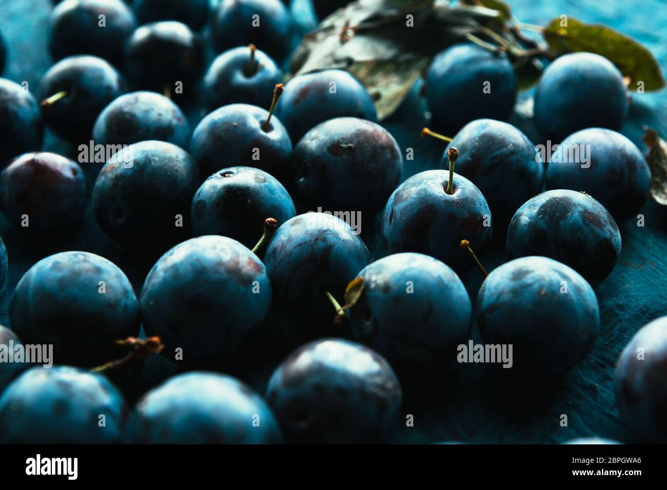 Viele frische Pflaumen auf blauem Hintergrund Nahaufnahme Stockfoto