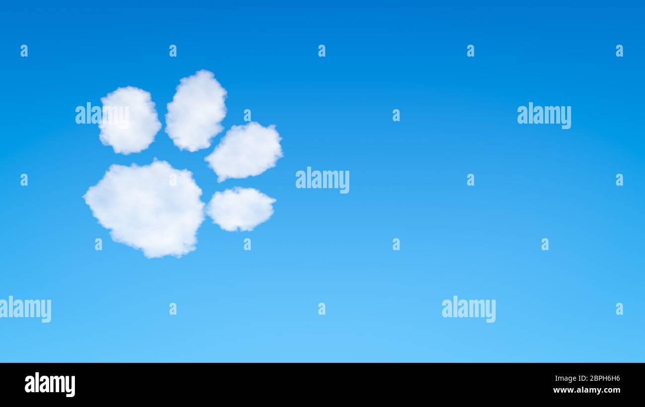 Hund oder Katze Footprint Symbolform Wolke im blauen Himmel mit Copyspace  Stockfotografie - Alamy
