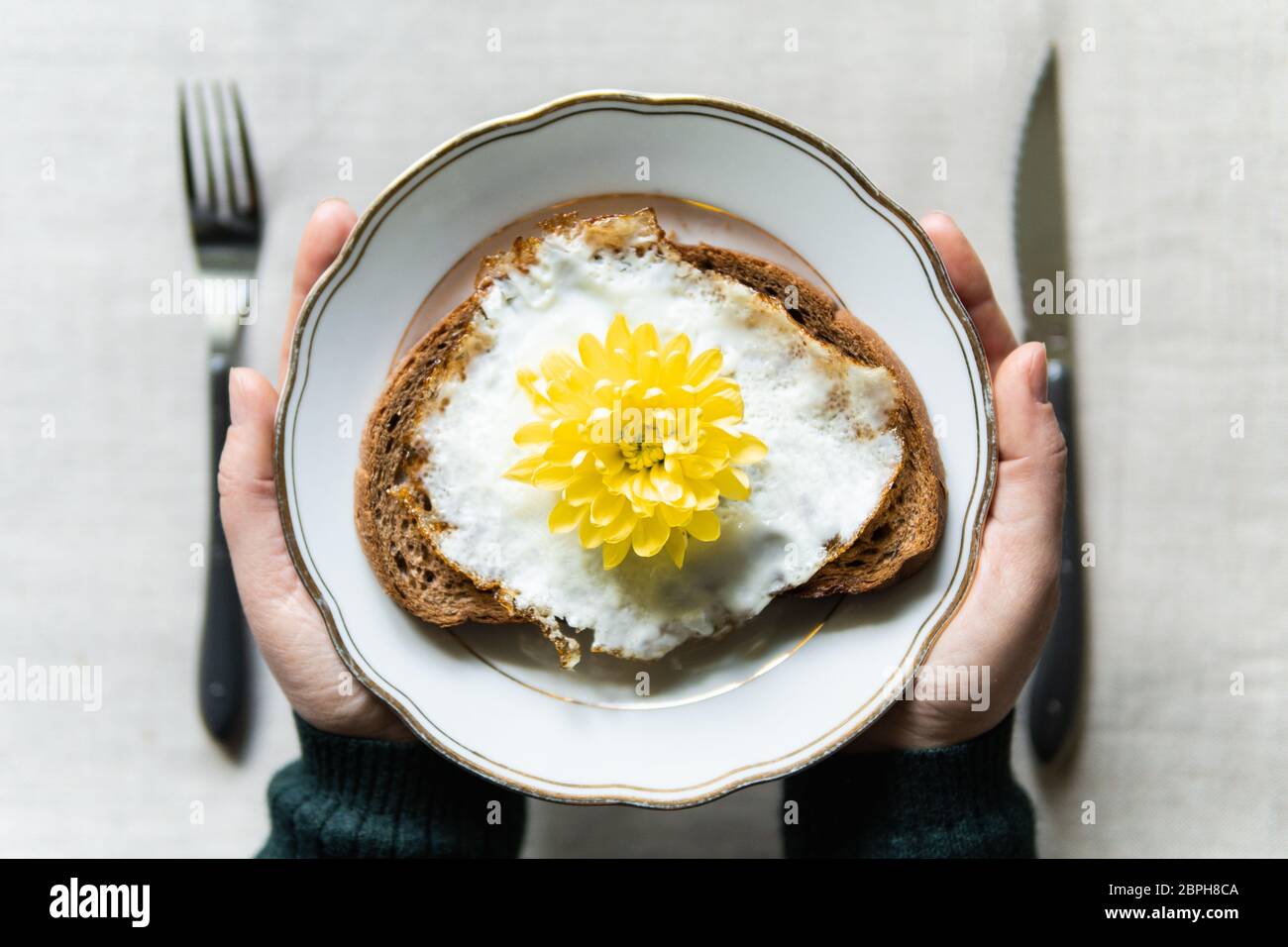 Konzeptionelles Bild des Frühstücks mit Spiegelei Toast. Gelbe Chrysanthemum Blume statt Dotter serviert auf einem weißen Teller Stockfoto